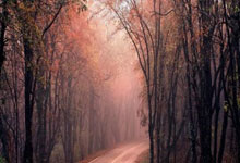 陈祈遒说球：实战检验得失，正视进步与不足.