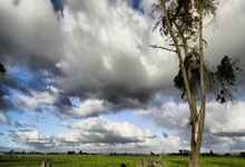 九游：ATP迈阿密站：门希克双抢七战胜德约成首位05后大师赛冠军.