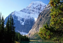 九游：世预赛：日本队0-0沙特阿拉伯队.